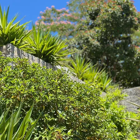 Aqua Vista فندق مونشيك